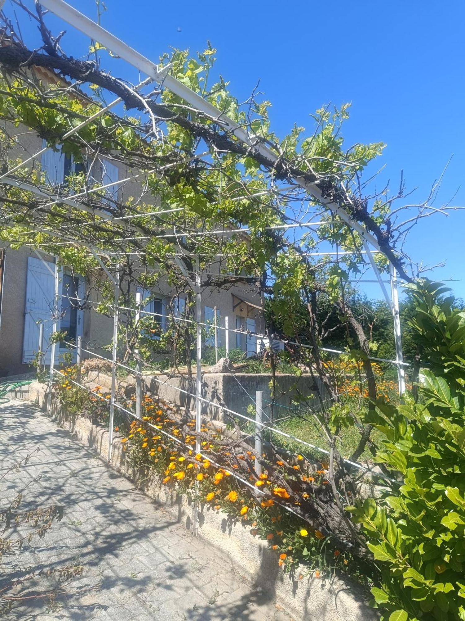 Hysope Apartment Chateau Arnoux Bagian luar foto